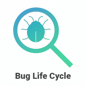 Click2Cloud Blog- Bug Life Cycle