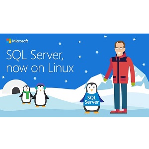 Click2Cloud Blog- .NET Core & SQL Server Preview on Linux Containers